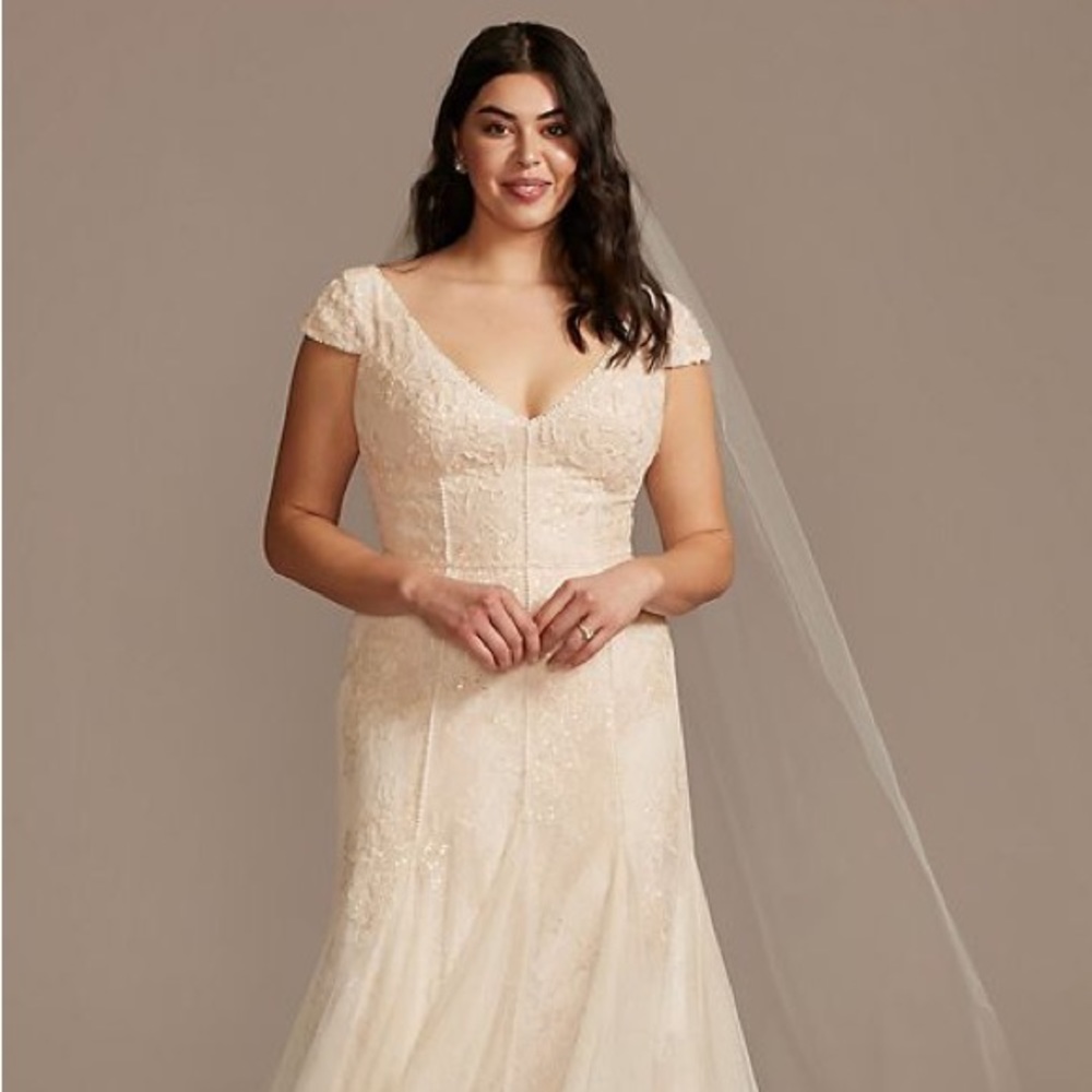 DB Melissa Sweet cap sleeve dot trim point d'esprit wedding dress. Sz 16W